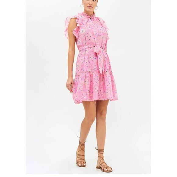 Oliphant Flirty Ruffle Hem Carolina Pink Cotton Block Print Dress Tuckernuck Med - Picture 3 of 16